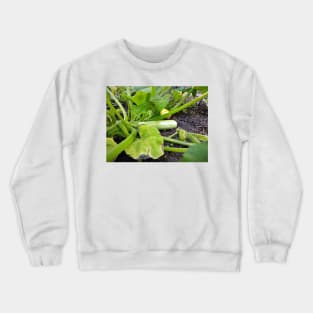 Zucchini Crewneck Sweatshirt